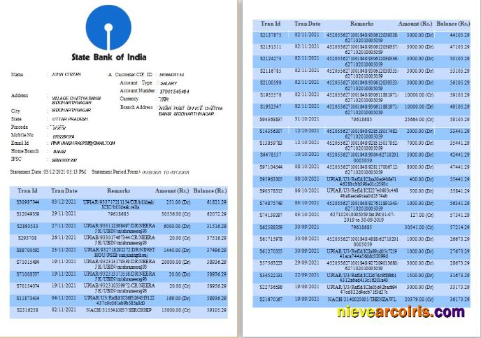 India State Bank of India bank statement, Word and PDF format, 6 pages